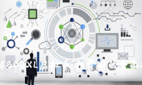 了解BDQXL虚拟币：投资前的全面指南